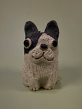 Shigaraki-ware Frenchie