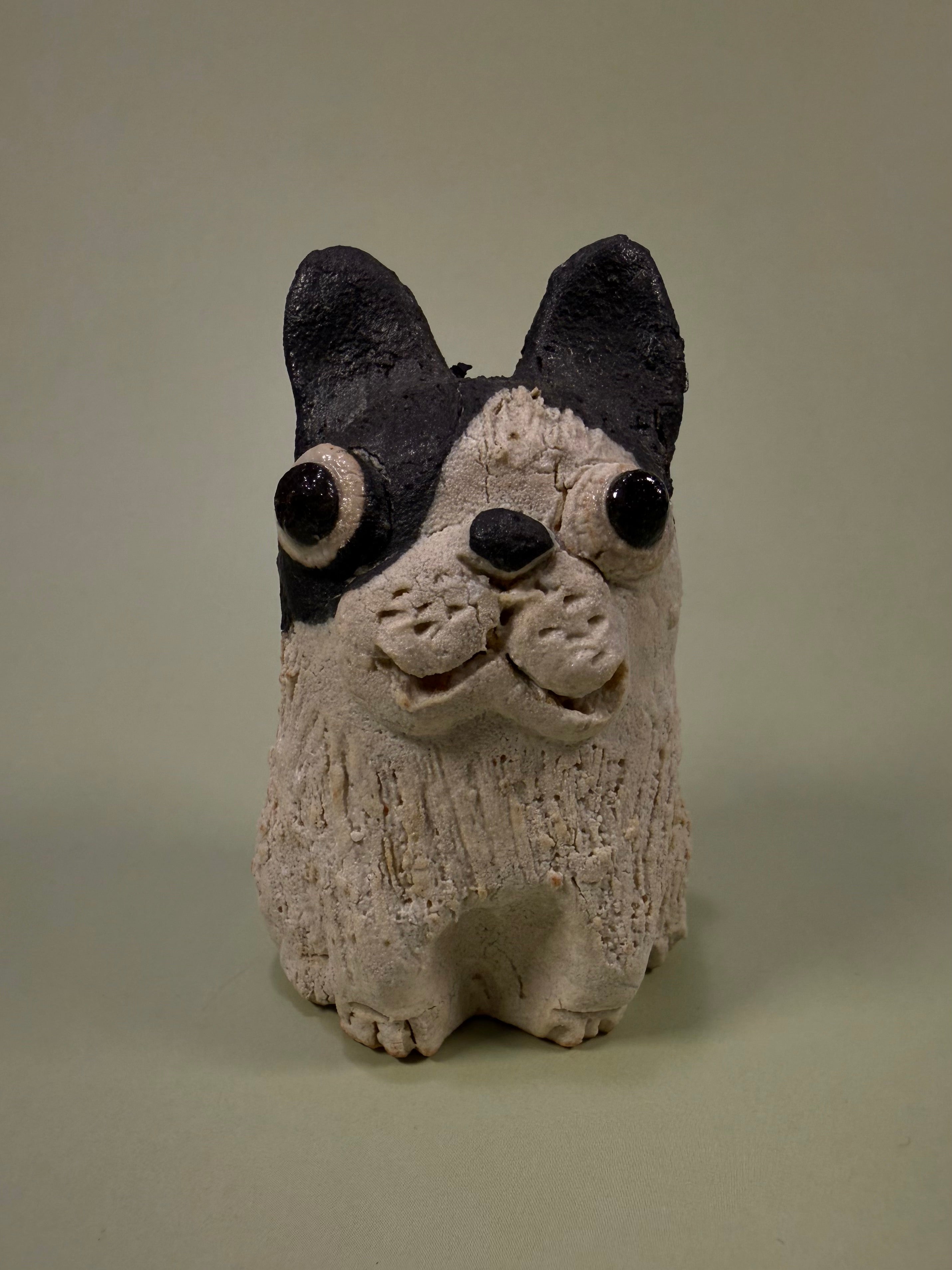 Shigaraki-ware Frenchie