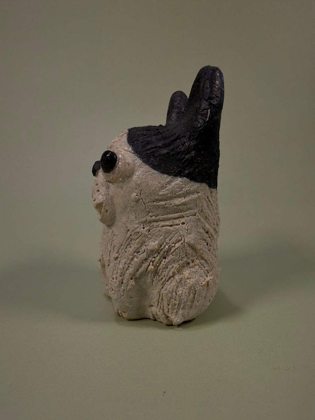Shigaraki-ware Frenchie
