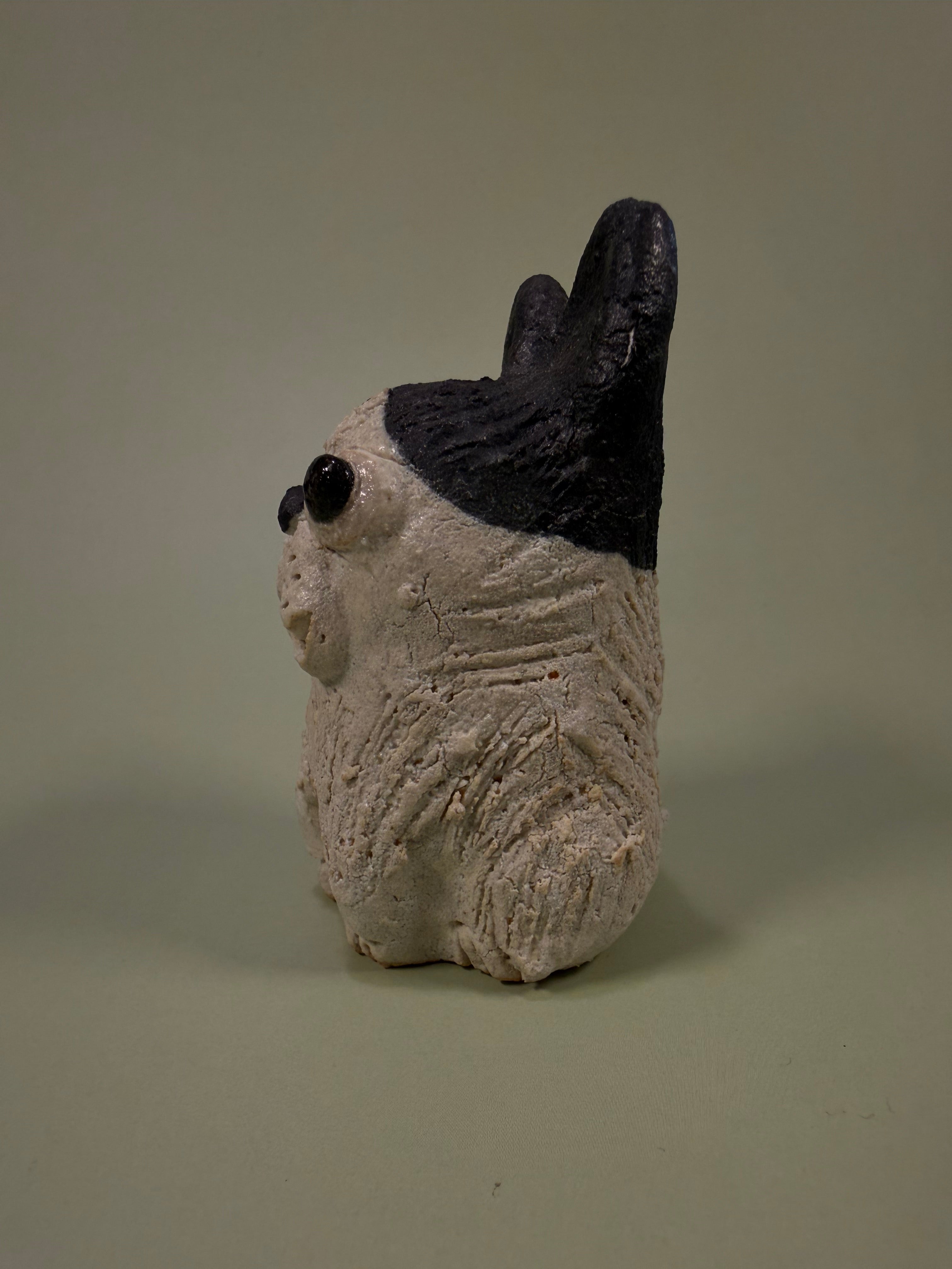 Shigaraki-ware Frenchie