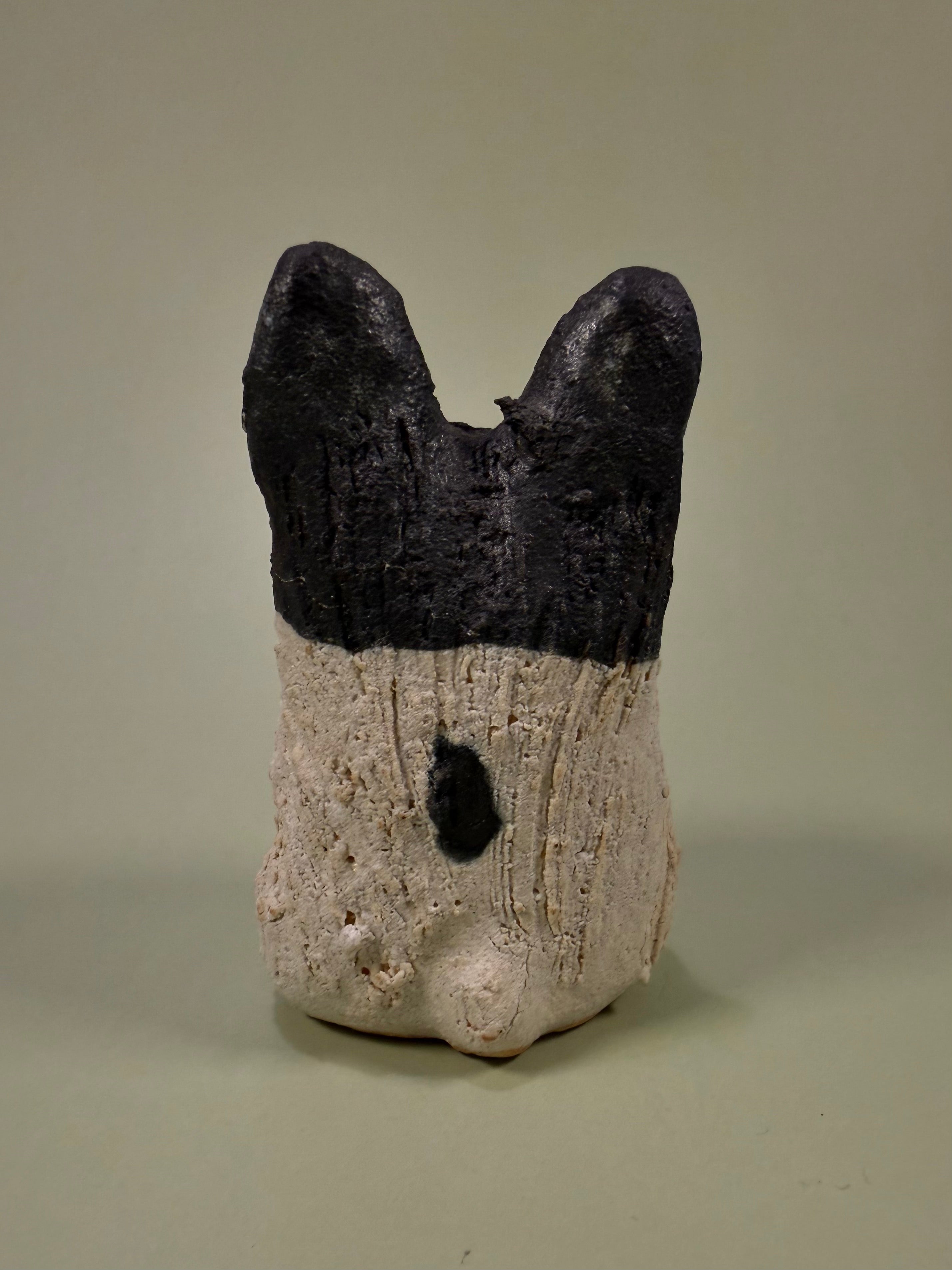 Shigaraki-ware Frenchie